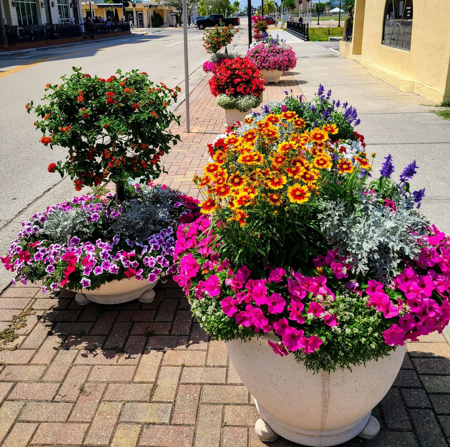 Punta Gorda in Bloom pots